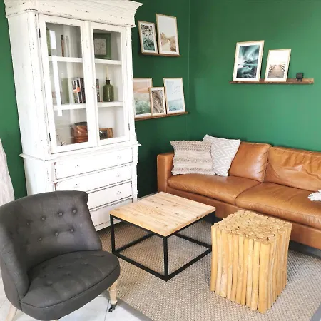 Homelig Altstadt 3 アパート ザスニッツ