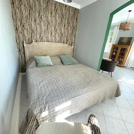 Homelig Altstadt 3 アパート ザスニッツ